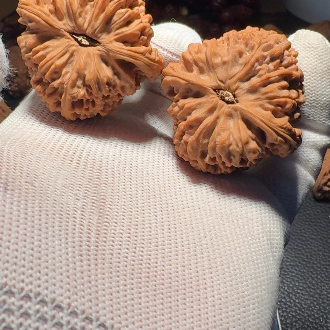 音***者文玩核桃吊坠有磕碰