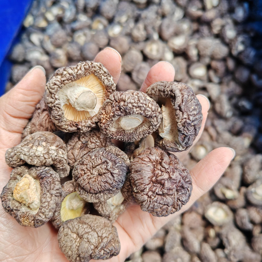 新货香菇农产品干货香菇 无熏硫 农家特产 剪脚肉厚干香茹食材