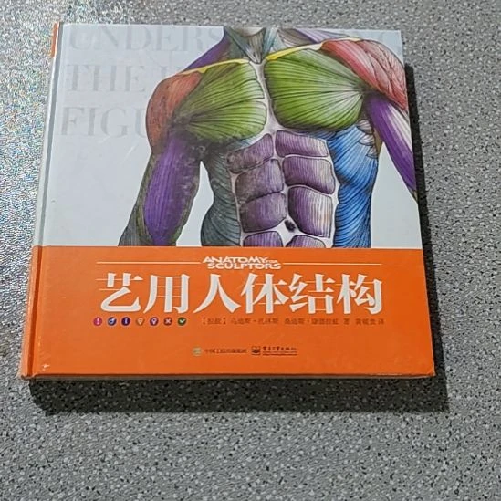 艺用人体结构闪购闪购