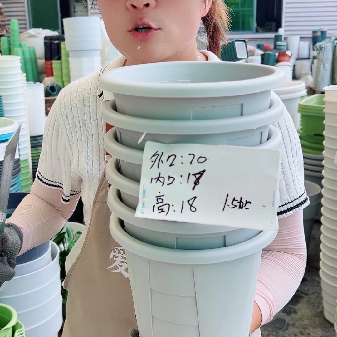 瑕疵玫瑰200#灰白色6个无托