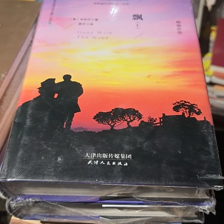 飘两本一套精装库存书