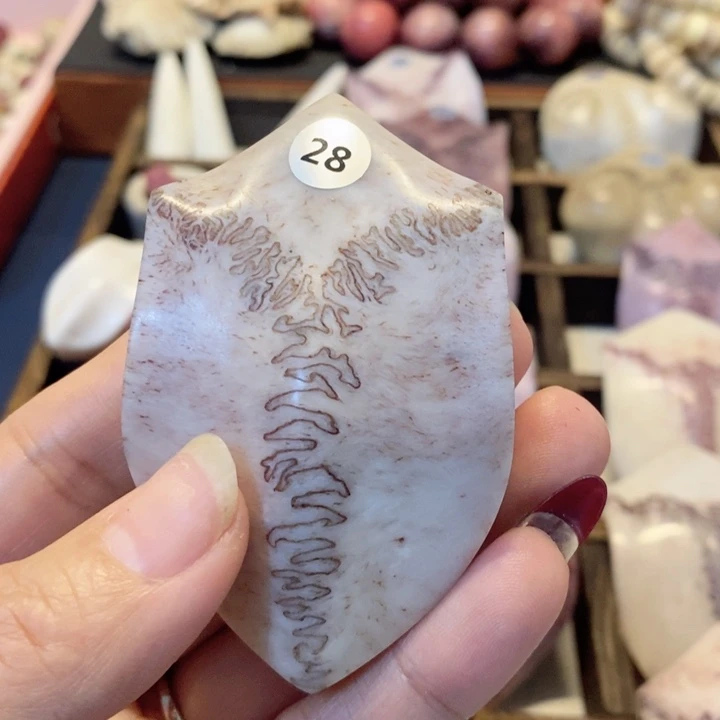 鹿三界好看好看好玩