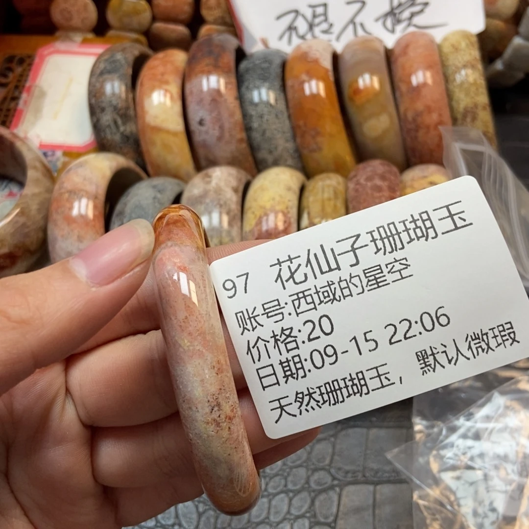 西***空未镶嵌硅化珊瑚（珊瑚玉）珠宝半成品97