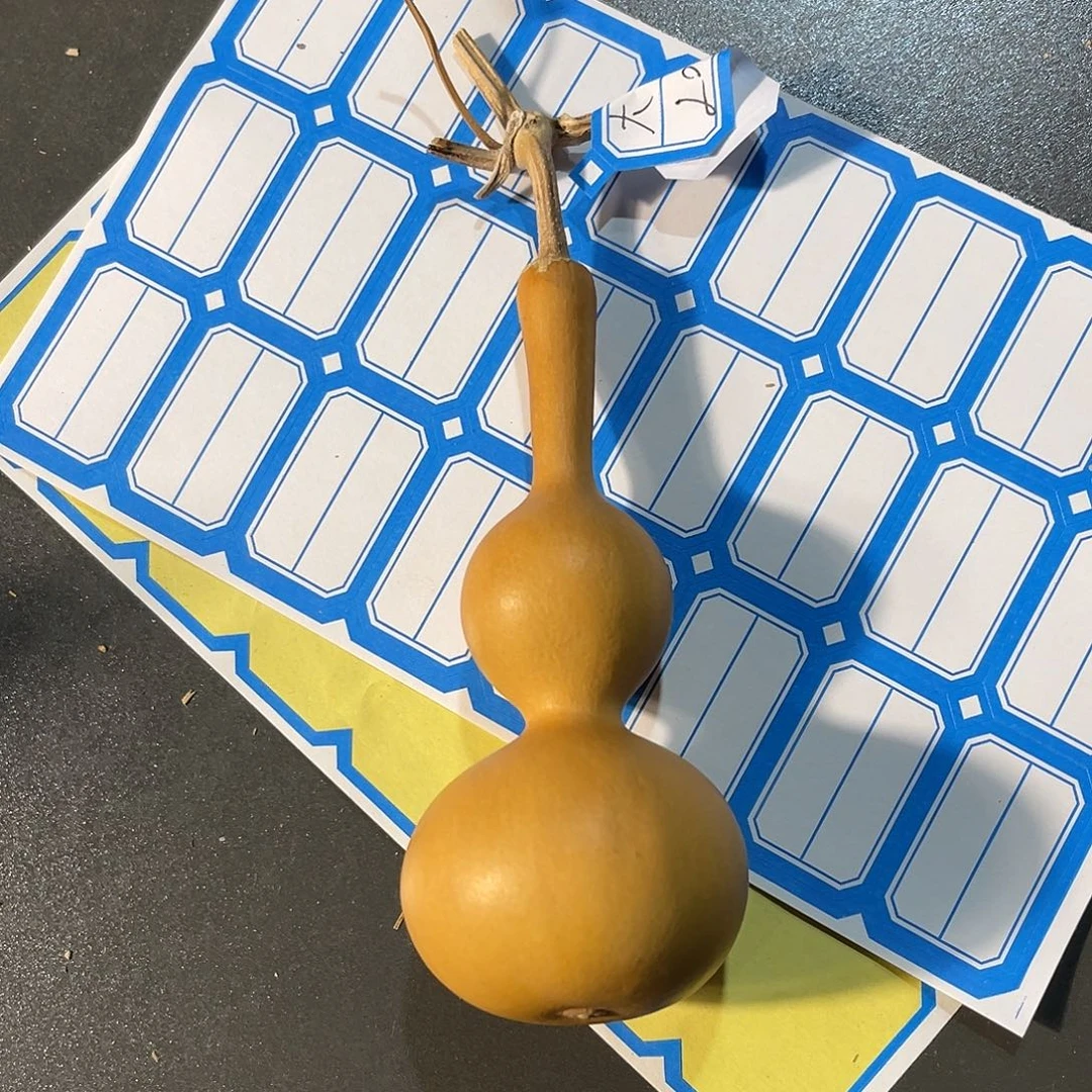 大***m200葫芦5555555555