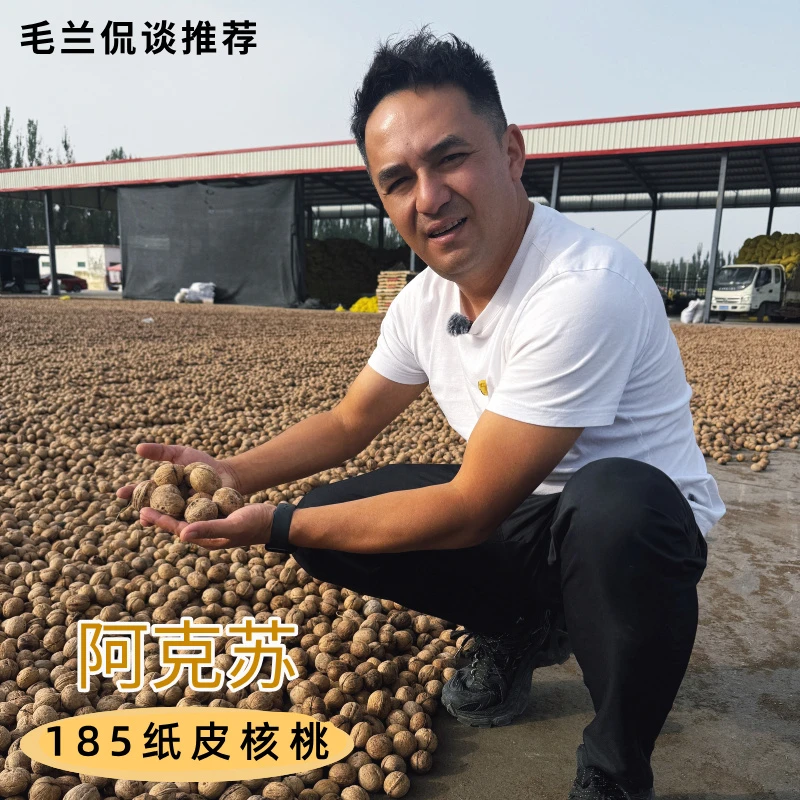 （全国包邮）新疆阿克苏185纸皮核桃大果肉厚饱满新鲜核桃清水洗过