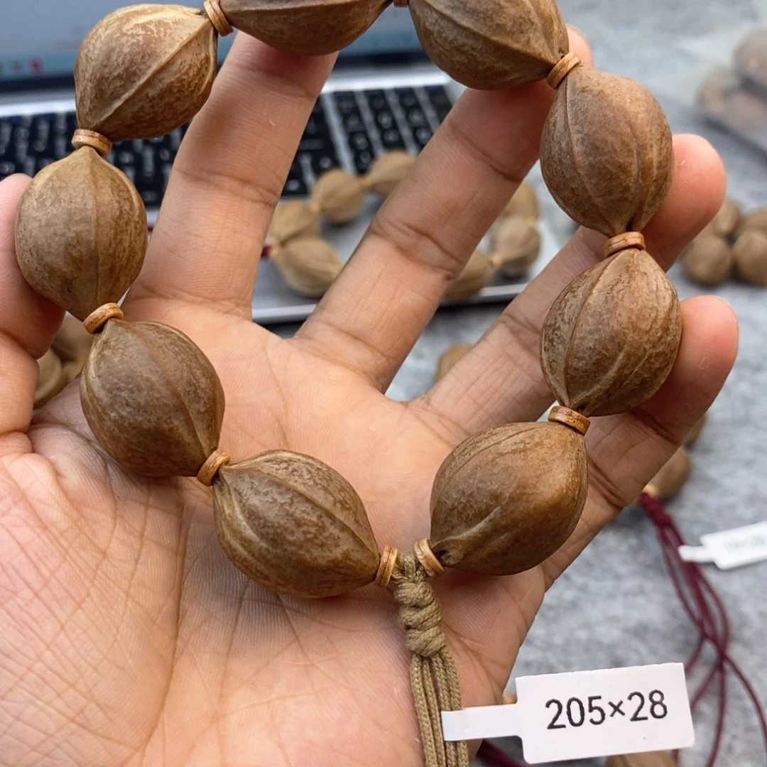 橄榄核手串/手链20.5/28鲨鱼背