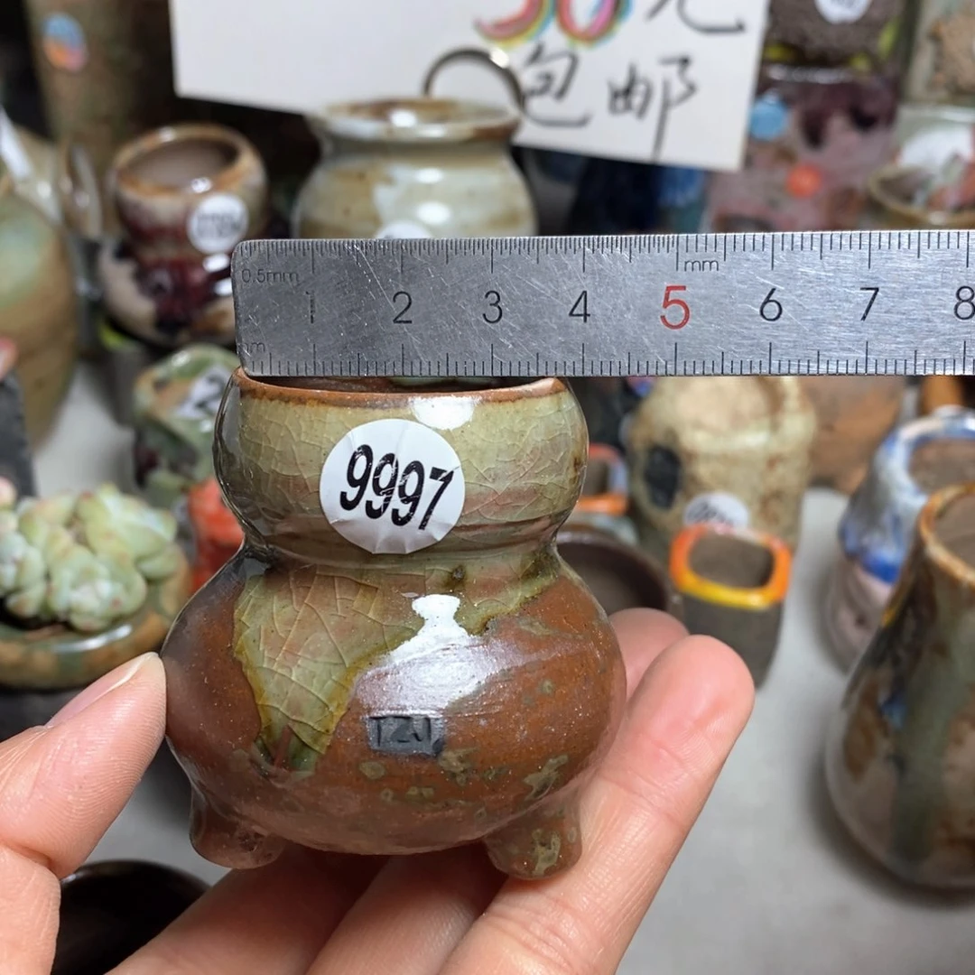 花盆拍5送一个小礼物