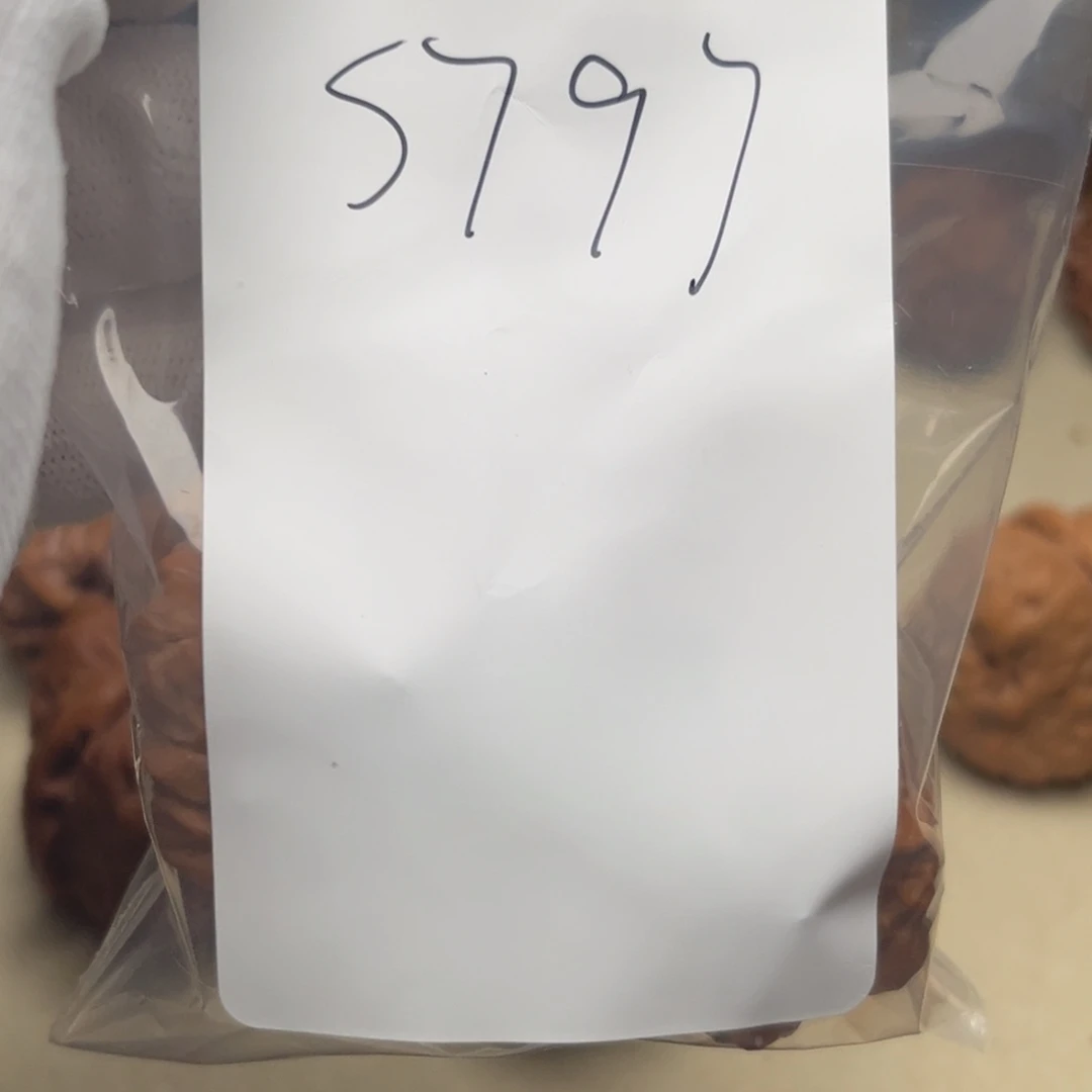 文玩核桃吊坠蛤蟆s797