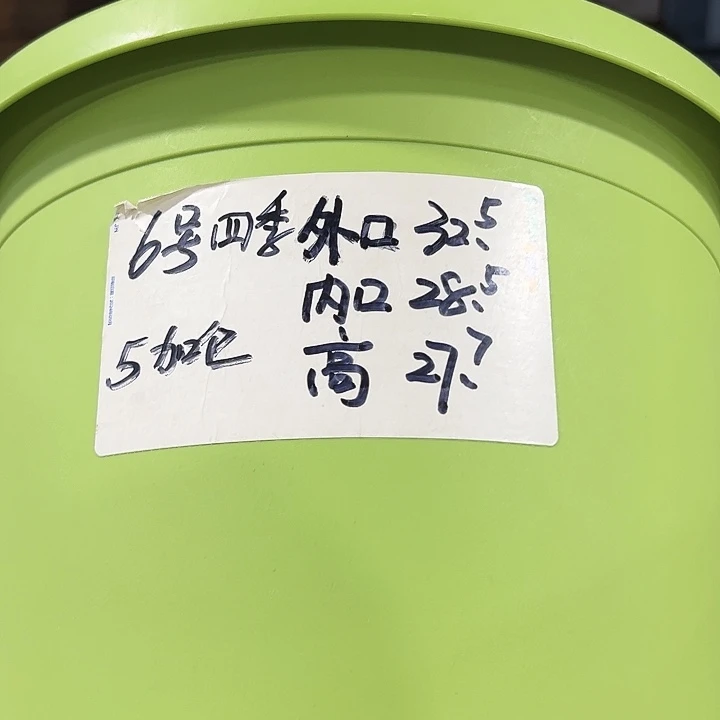 特价6号口32.5高27白色7只无托