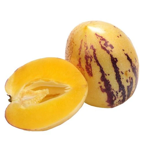 皮薄新鲜多汁人参果当季水果人参果脆甜甘肃人参果现摘甘肃沙漠