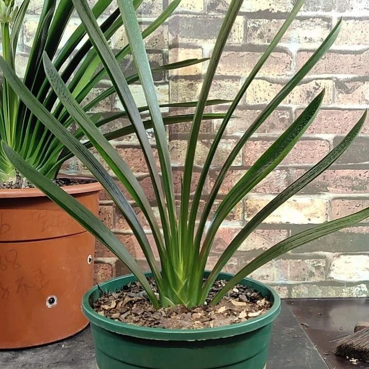 完全开放1111111111