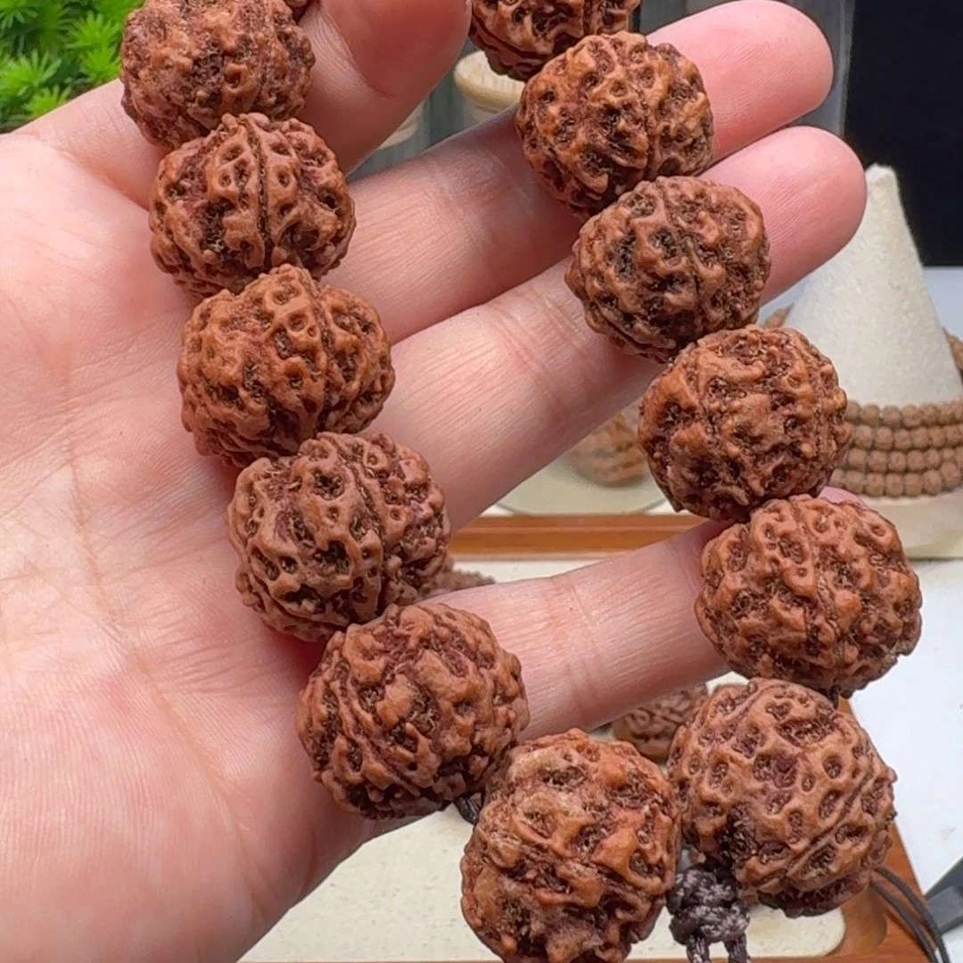 手串金刚菩提蜂窝双龙