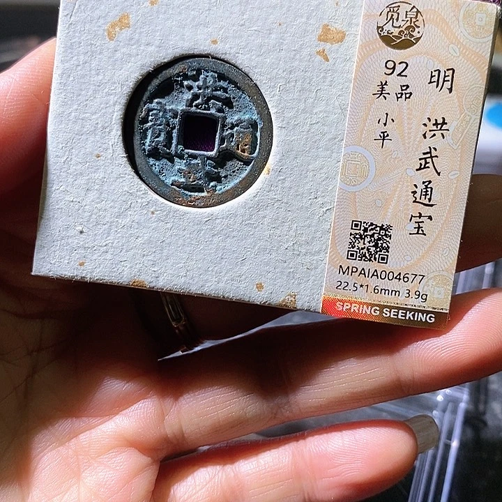 铜洪武通宝。华夏天玺总店677