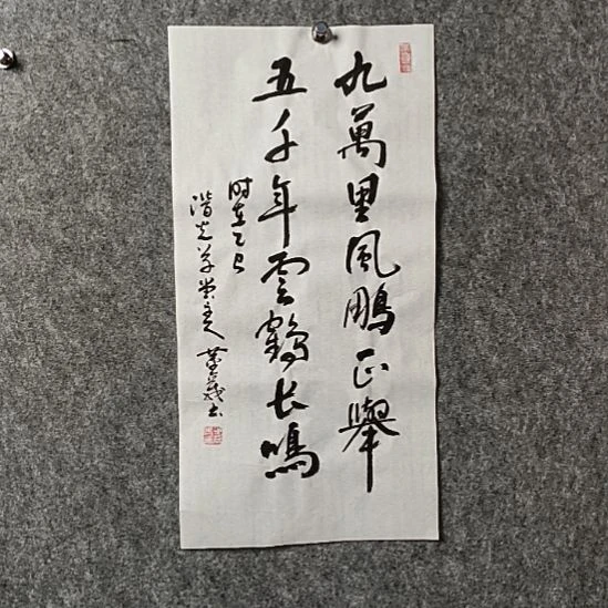 书法董老师二平九万里风鹏正举