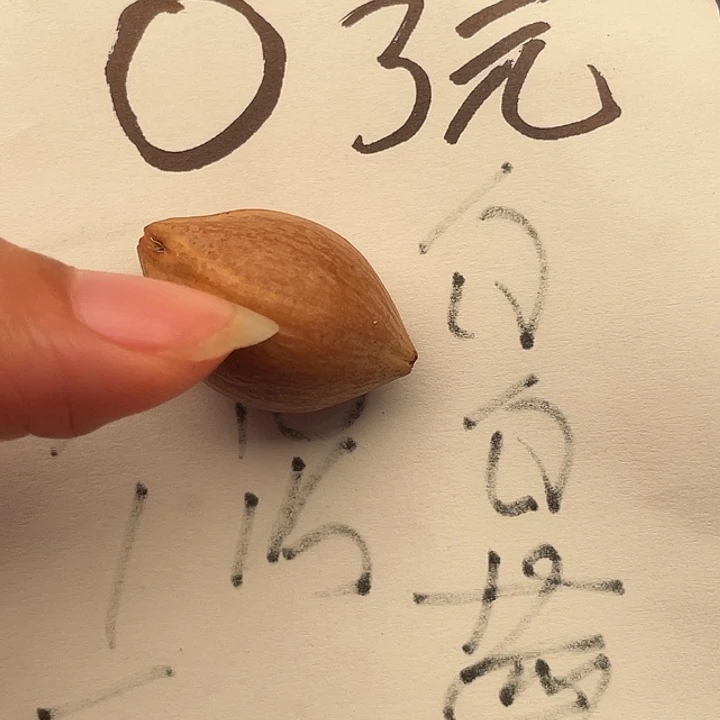 紫***x橄榄核手串/手链橄榄