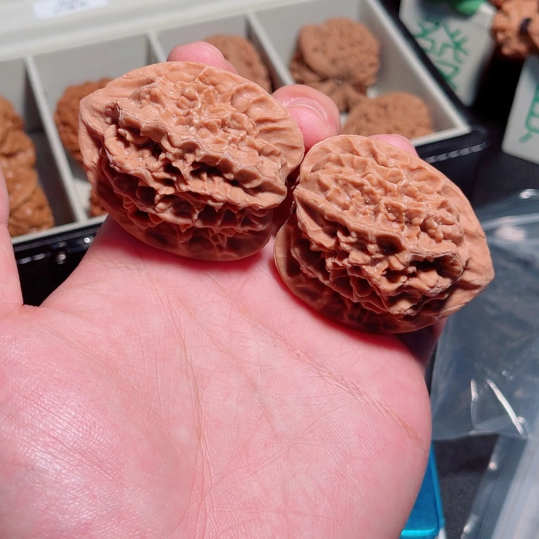 42小众山地龙鳞纹