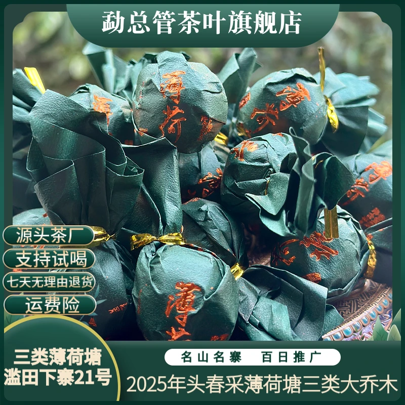 2025年 薄荷塘普洱生茶【三类大乔木】【滥田下寨21号】便携式小龙珠