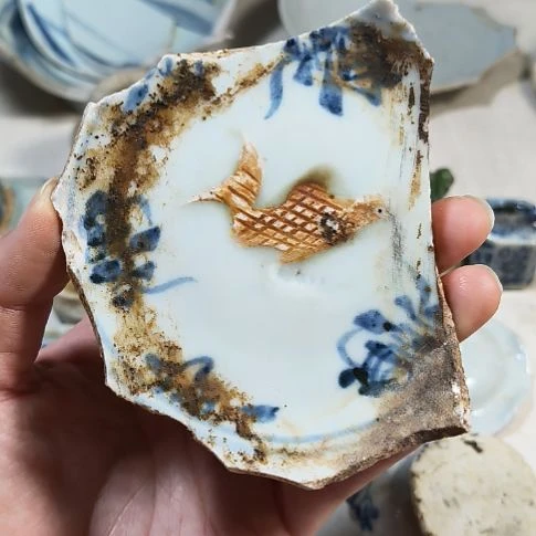 瓷片瓷片瓷片瓷片瓷片