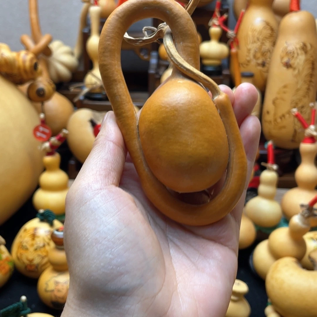 北**城大自然的秘密第十一节你是什么意思