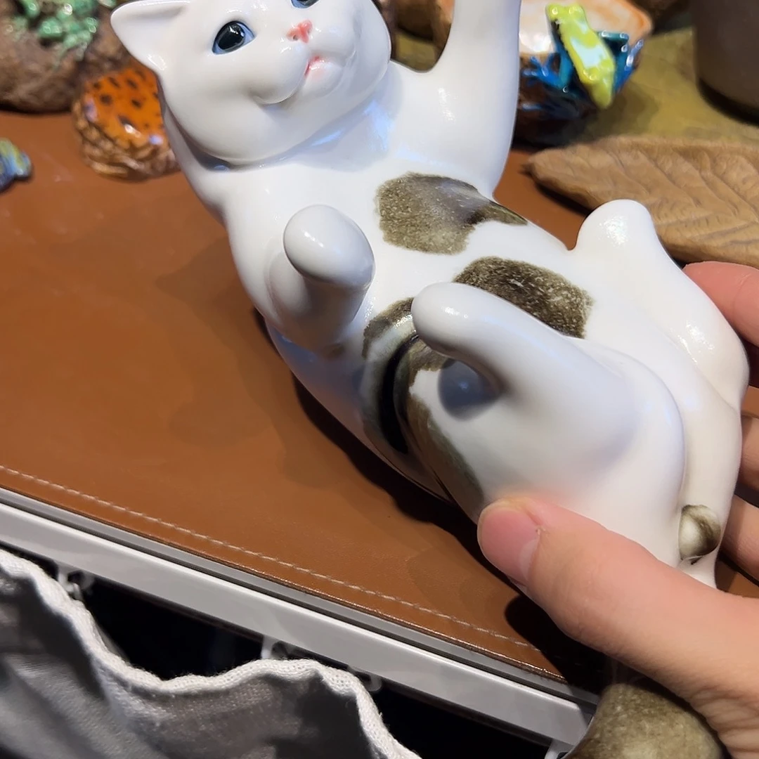 七*七猫咪故居分地方回家看看