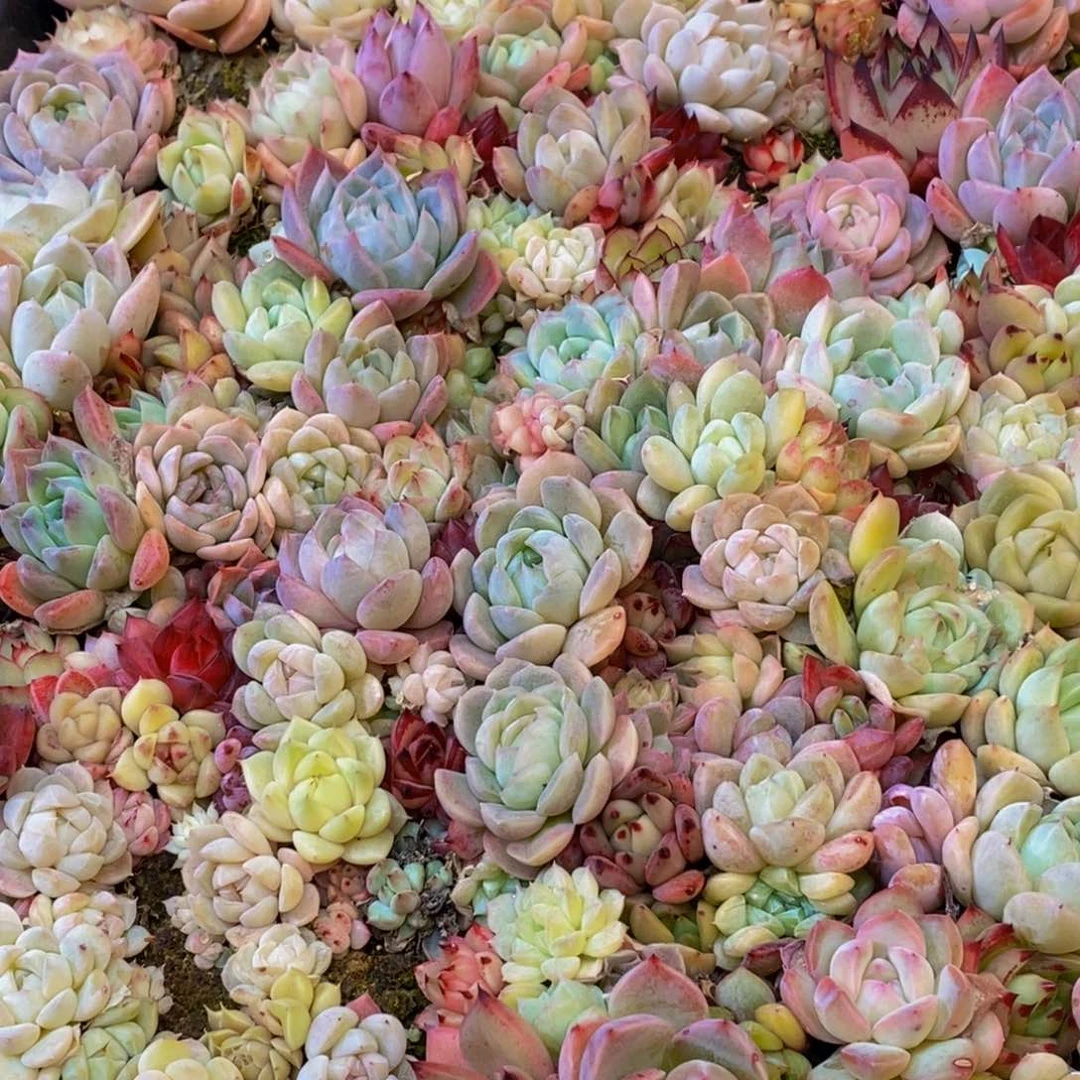 h****h357点多才能到家