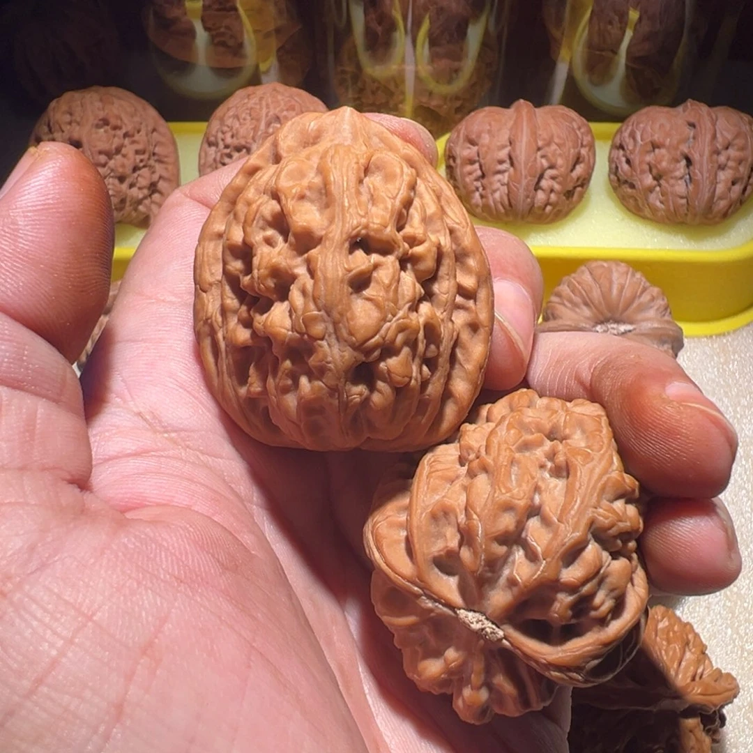 把件文玩核桃44红锦鲤（运费到付，不退不换）