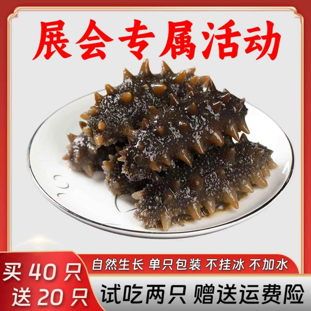 【鲜蒸非水发标准】鲜蒸海参买40送20辽品质7-8公分顺丰包邮保底3斤