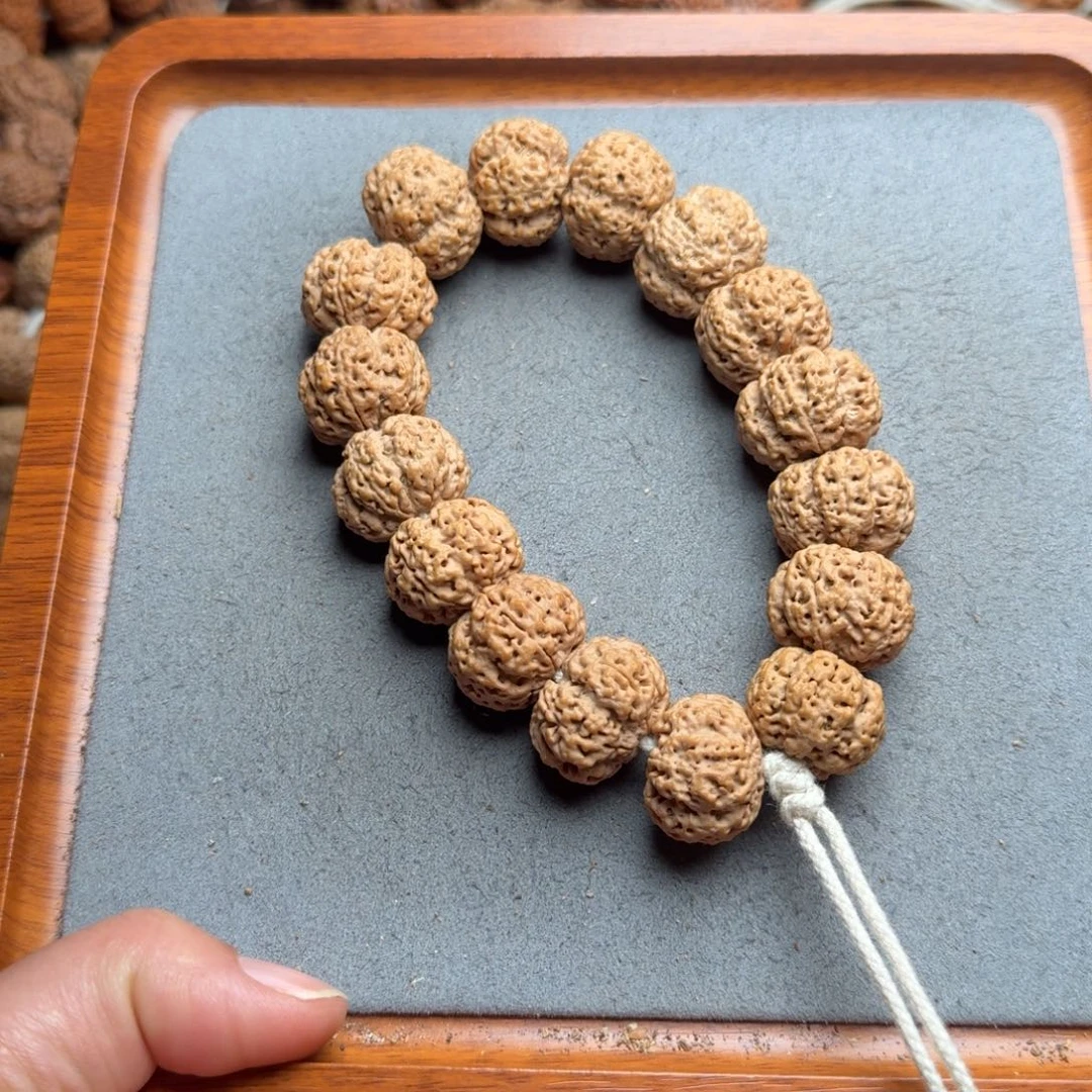 菩提菩提13号尼泊尔大金刚21方顿梁