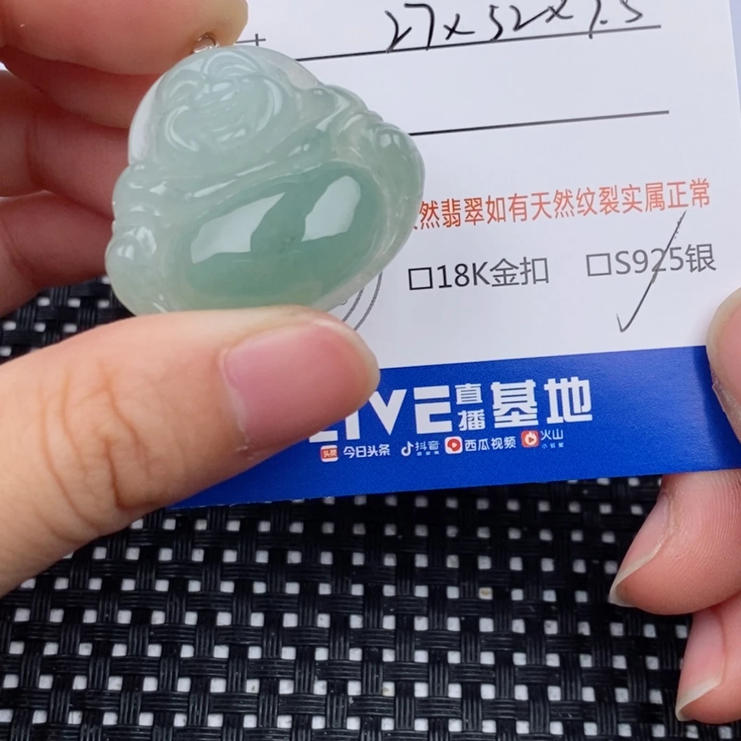 翡翠银S925镶嵌颈饰