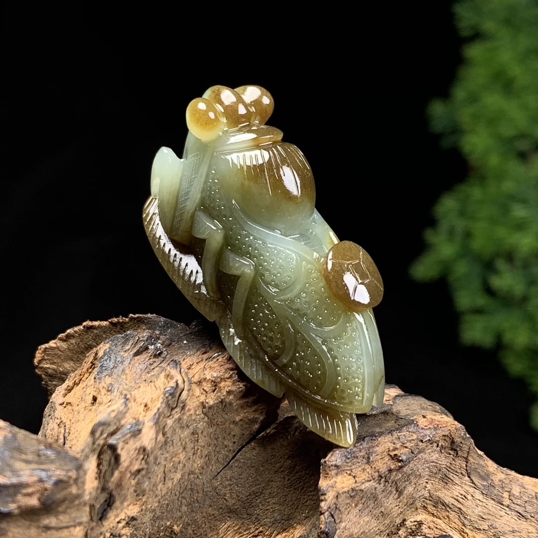 天然新疆和田玉一鸣惊人一夜成名知了吊坠尺寸45*16*24重量25克