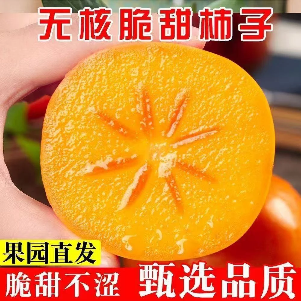 正宗阳丰巧克力脆甜柿子新鲜当季香甜多汁不涩无籽脆柿子