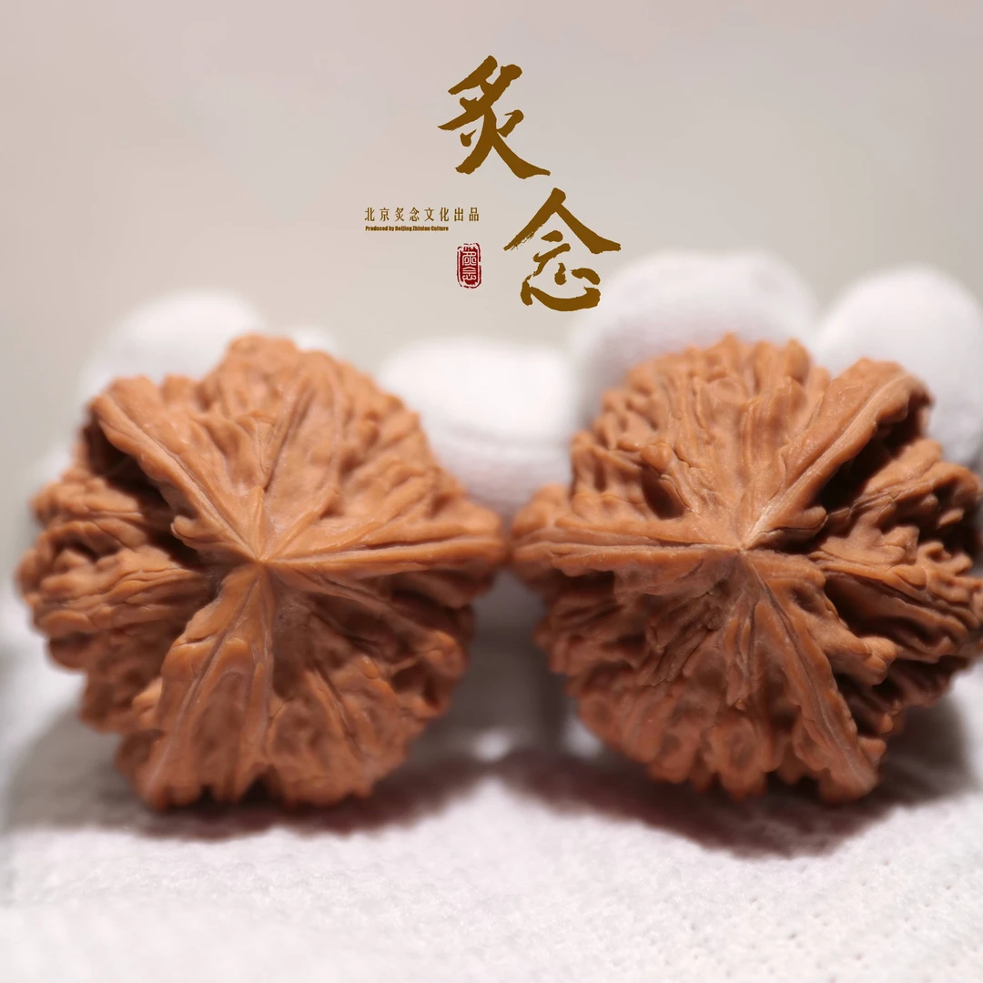 御龙粗筋正奔 · 40 一物一图 文玩好物 文山正奔