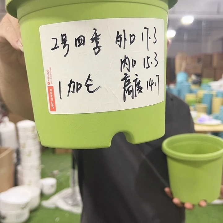 特价2号四季口17高14混色10个无托