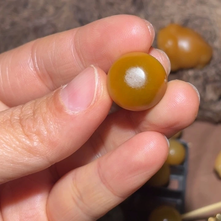 和田玉未镶嵌颈饰16