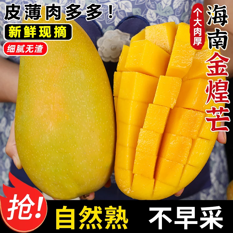 【放软吃】海南金煌芒果5/10斤整箱新鲜芒果当季热带水果水仙大芒
