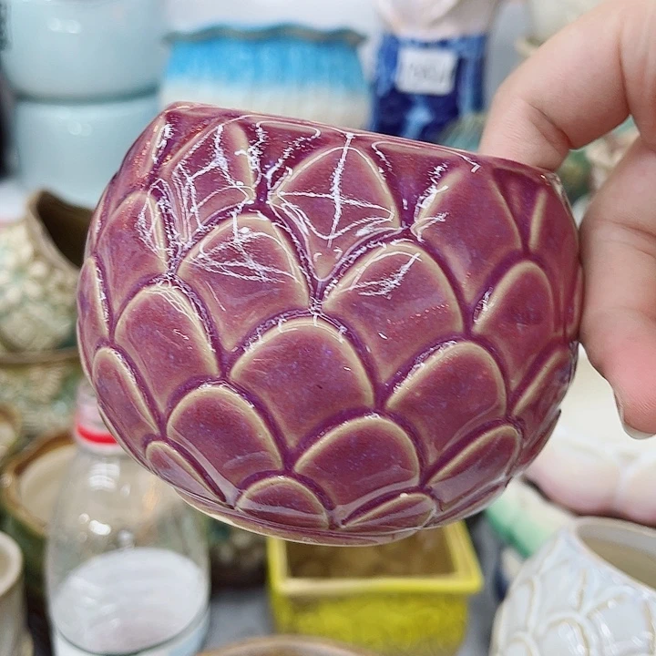 多肉植物陶瓷花盆