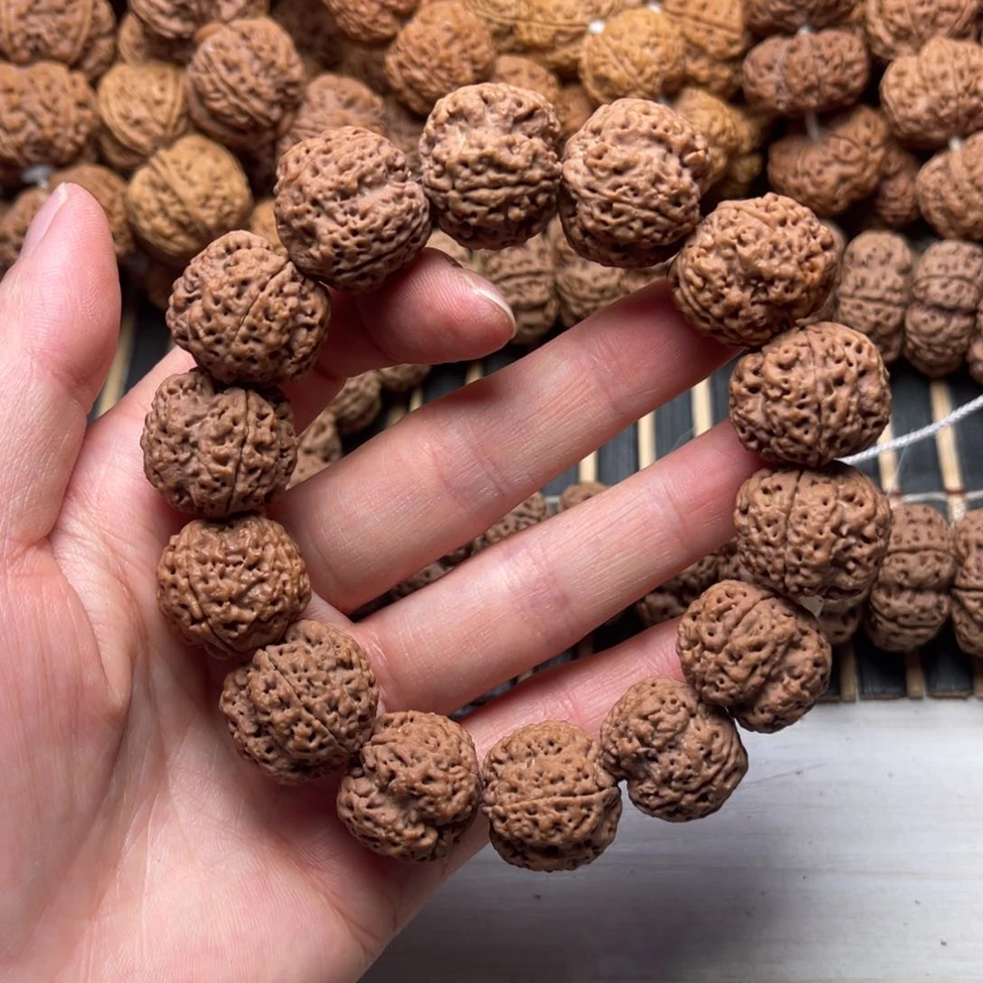 菩提13号金刚菩提蜂王四瓣20