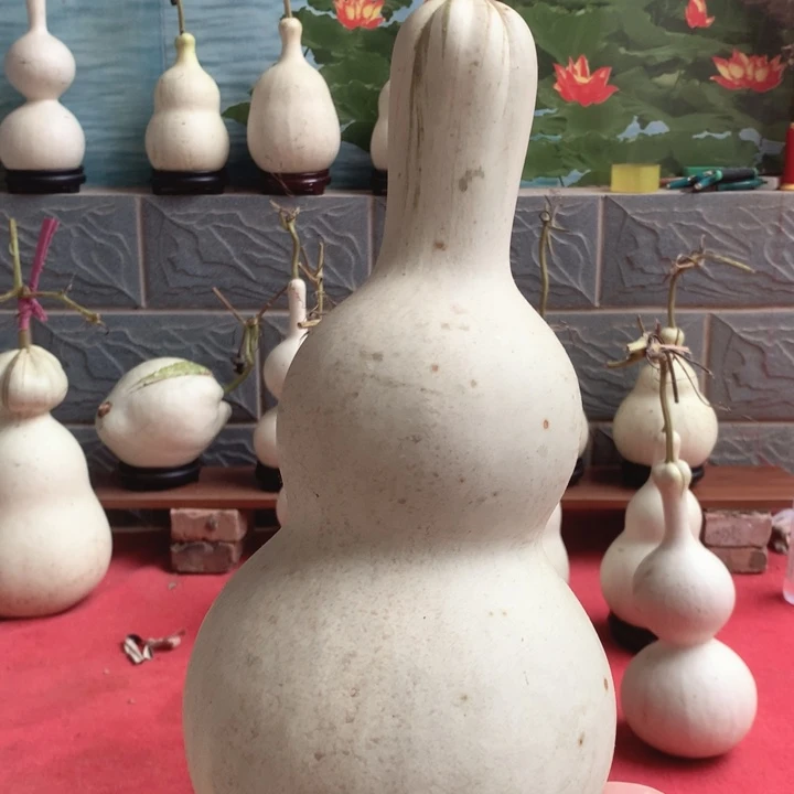 p***n中号现货供应充足