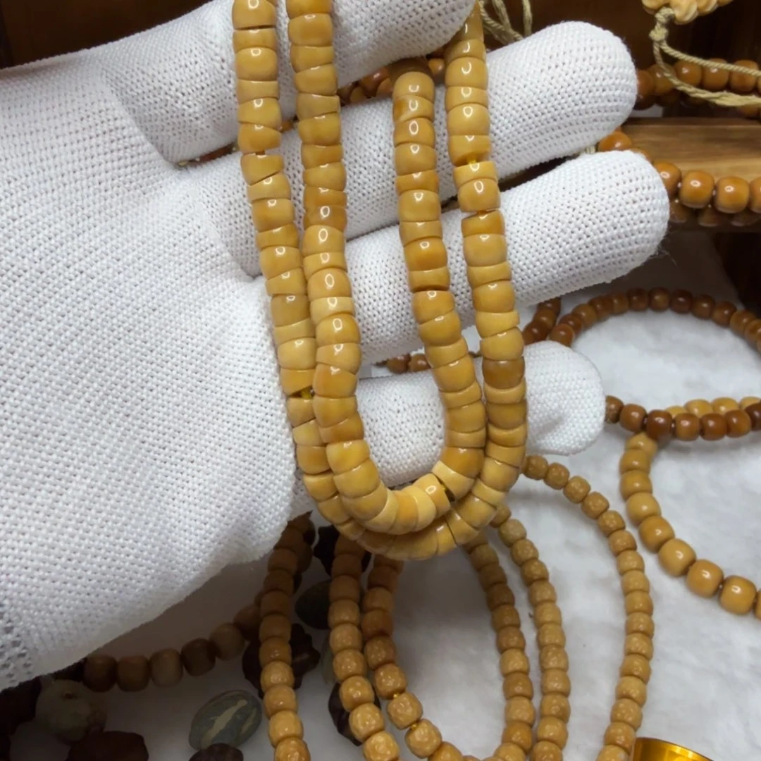 龙脊菩提吊坠大肠