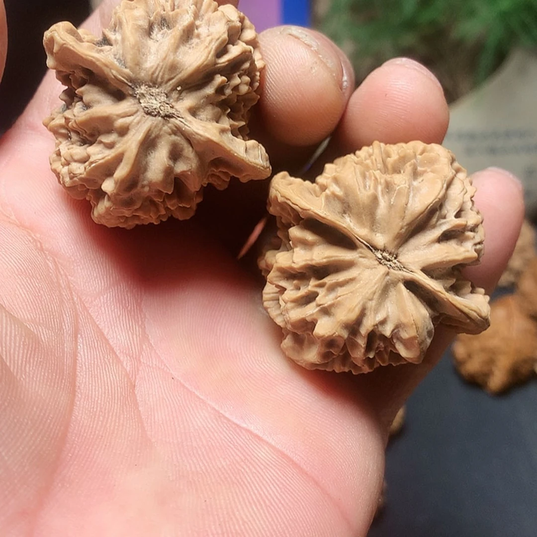 【闪购商品】文玩核桃把件桀**初野麻小众文玩把件