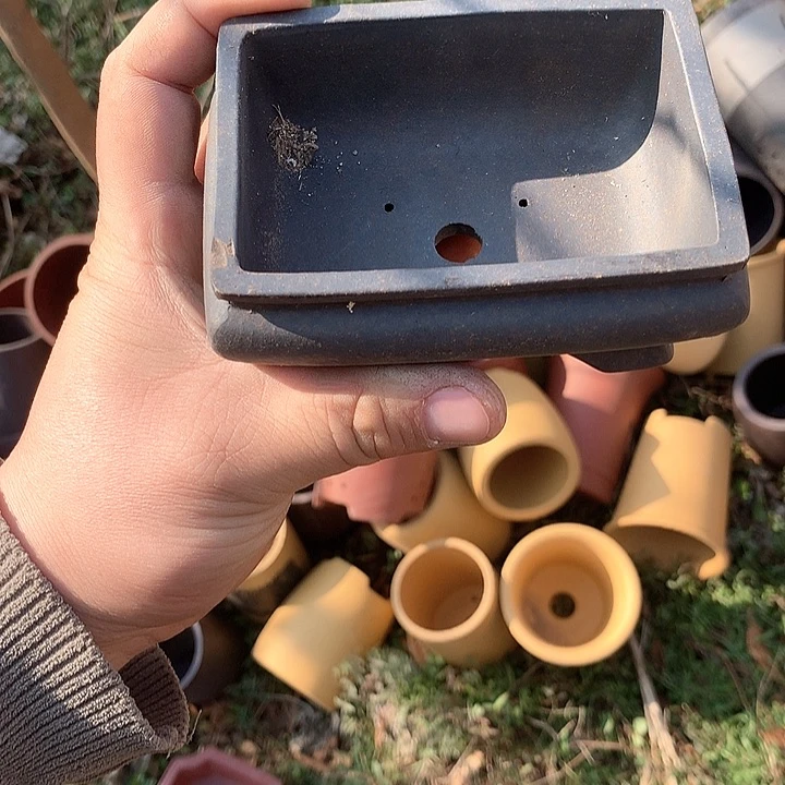 紫砂哈哈真的是太给力太