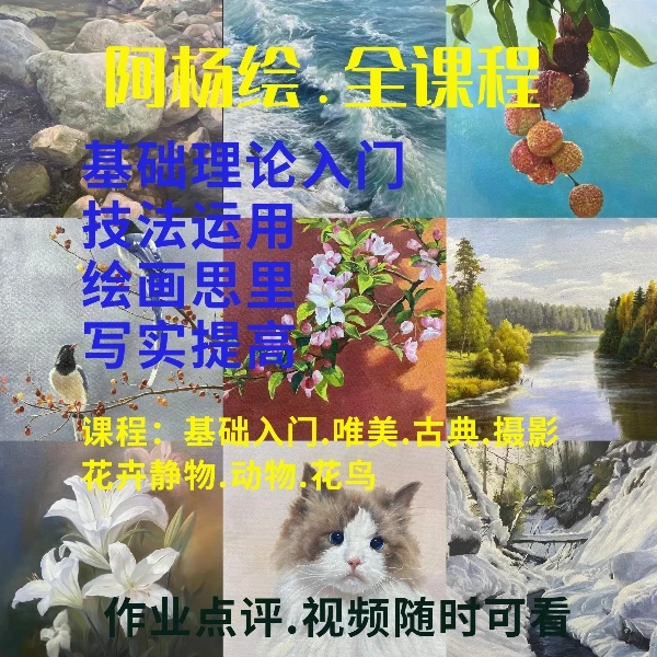 阿杨绘全课程 零基础至创作（包含初中级所有课程）风景花卉动物