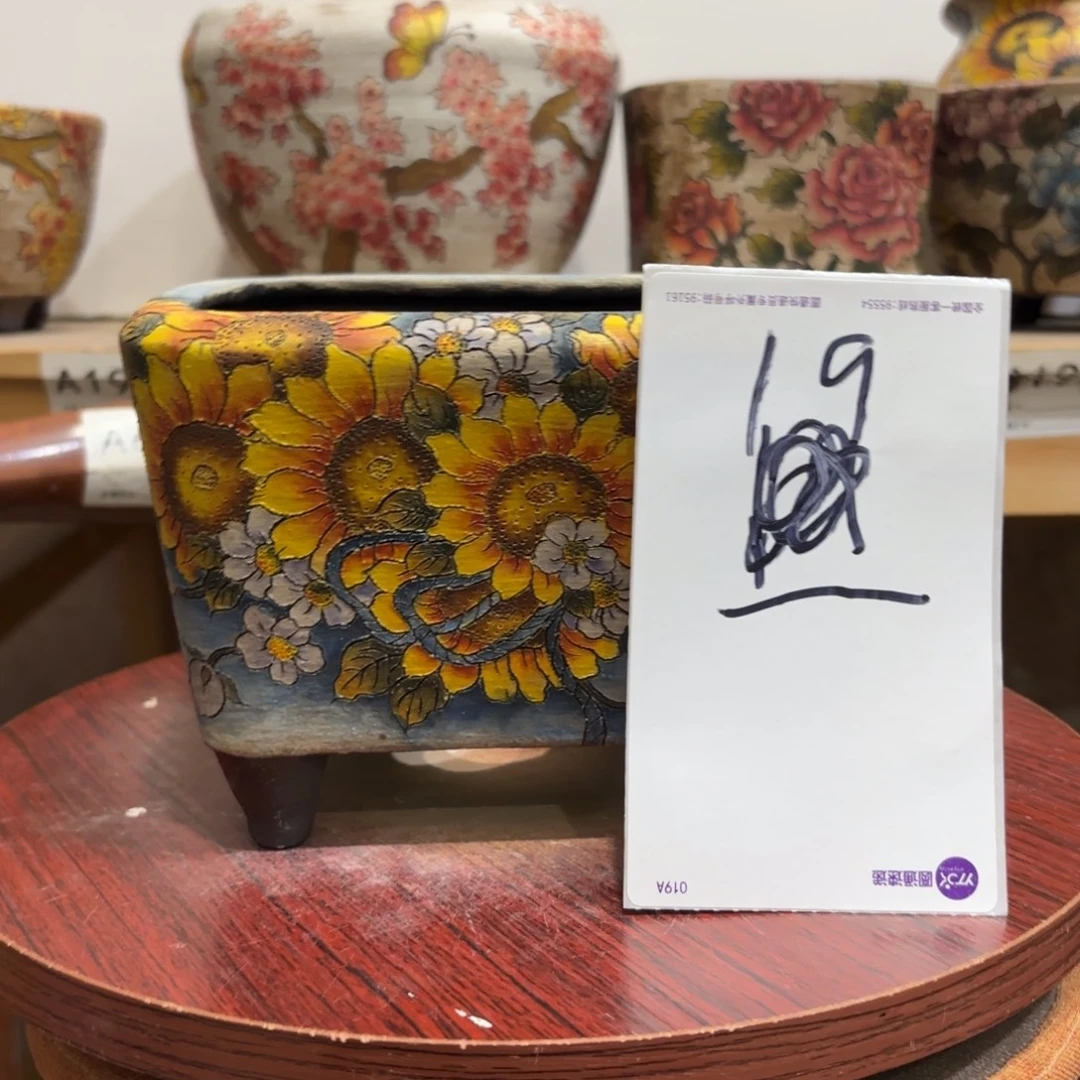 海***霞陶哈哈哈哈哈哈哈哈哈