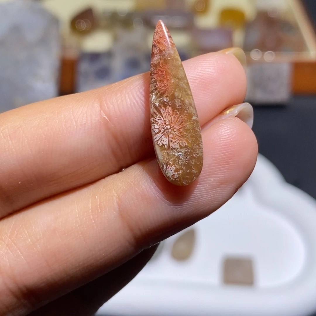【闪购商品】未镶嵌珊瑚玉硅化玉