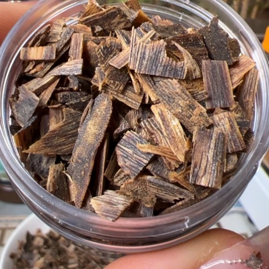 沉香沉香碎屑奇楠张勺子老料小米粒30克