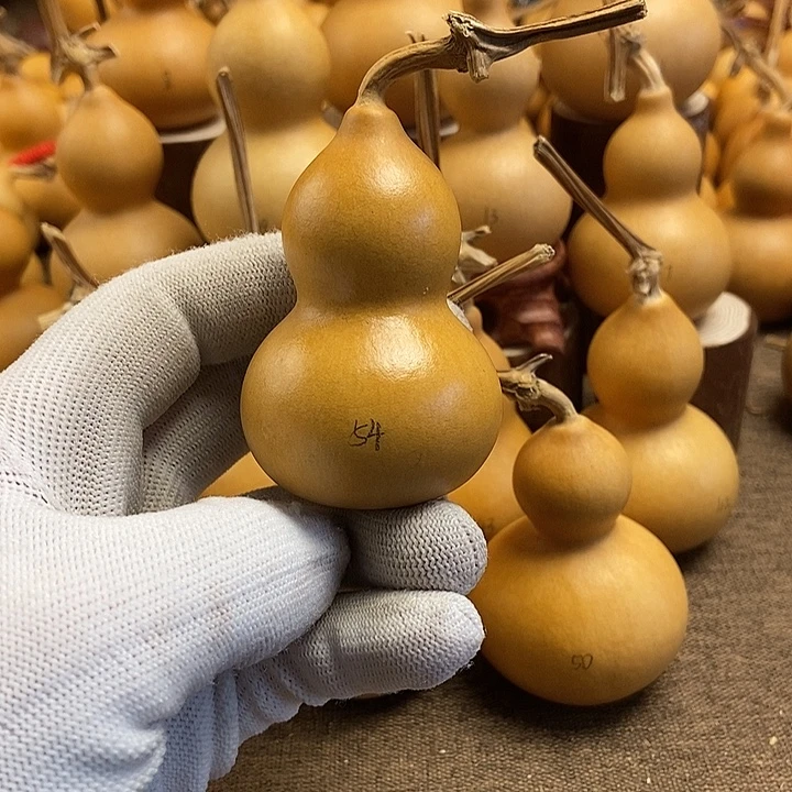 文玩葫芦 完美主义者 慎拍54