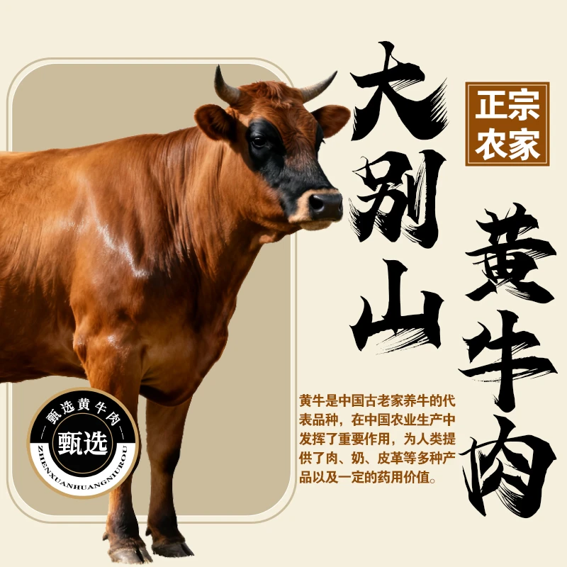 【顺丰包邮】大别山放养黄牛肉新鲜
