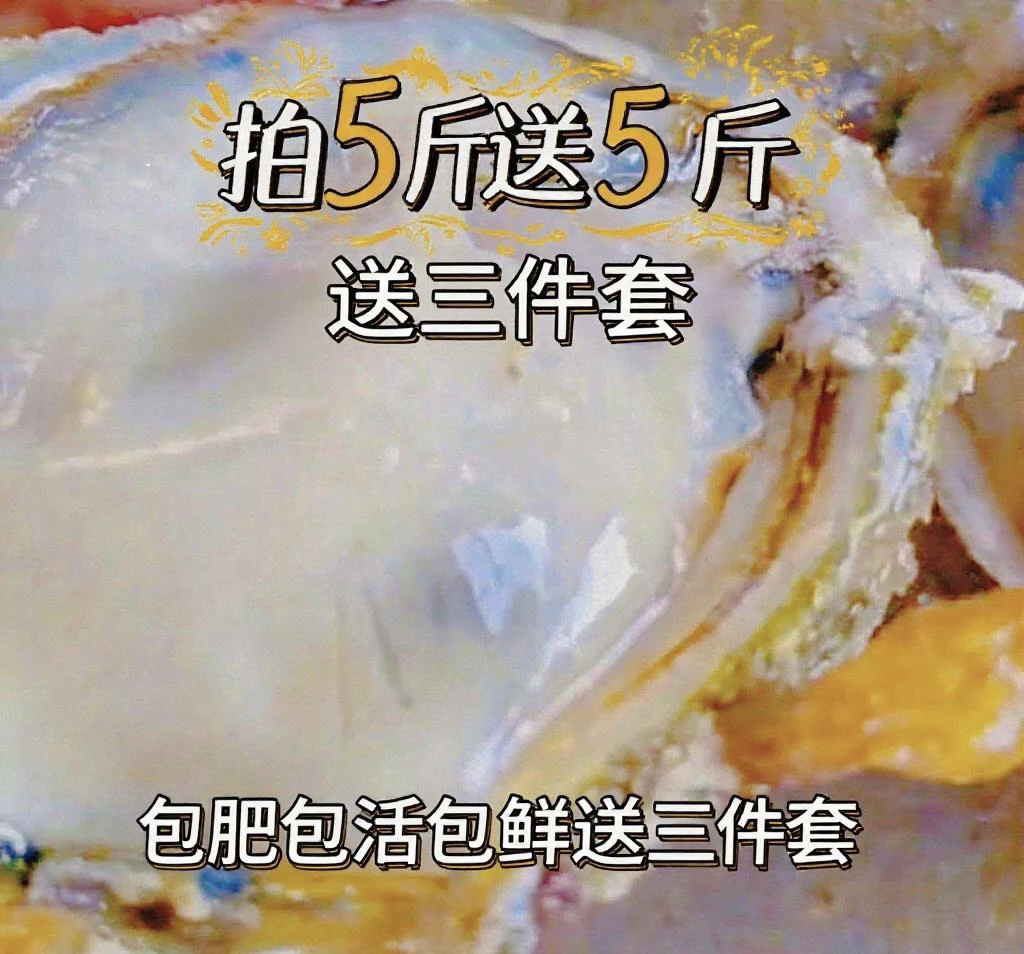 正宗鲜活乳山生蚝可刺身冷水蚝10斤礼盒箱，送礼佳品