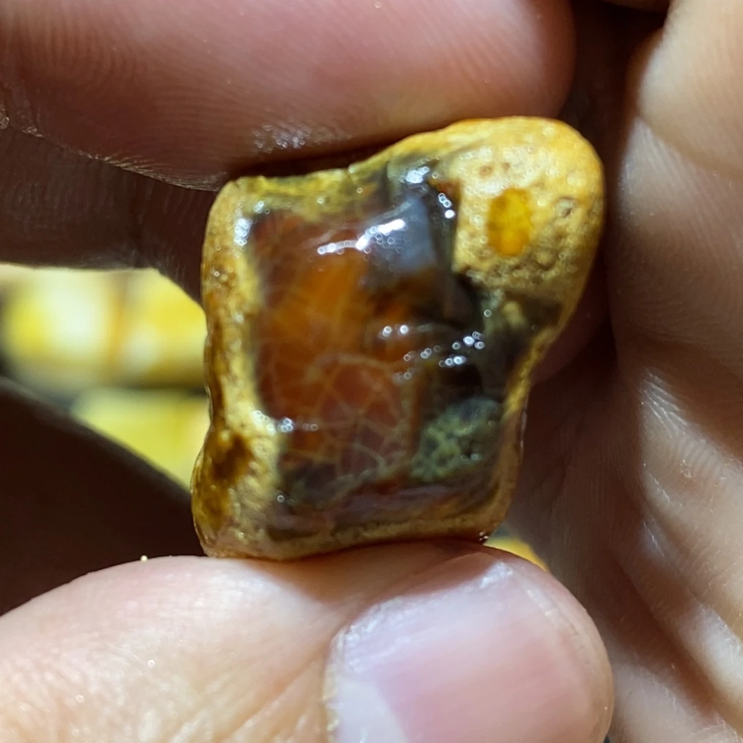 定制琥珀未镶嵌蜜蜡原石