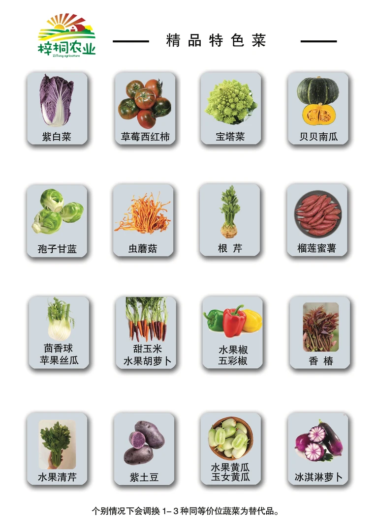 【顺丰包邮】山东寿光新鲜蔬菜礼盒组合特色定制套菜